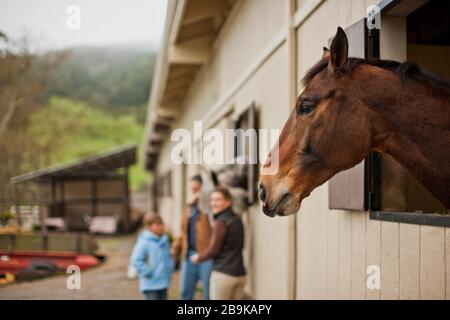 Famille debout à côté de la stabilité de leur cheval. Banque D'Images