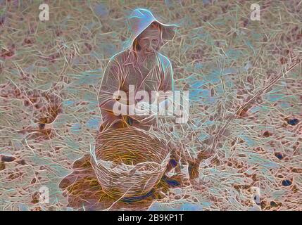 Activités Vintage à Richon-le-Zion, août 1939. Sélecteur de raisin, un vieux Rassemblement yéménite. 1939, Israël, Richon le-Tsiyon Banque D'Images