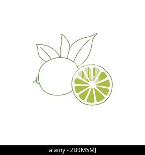 Dessin vectoriel simple Lime Line sur blanc. Logo Citrus, design d'icônes Illustration de Vecteur