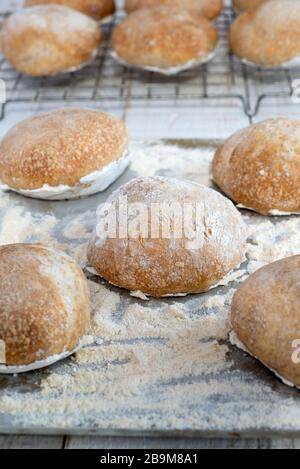 Petits pains au levain fraîchement cuits. Banque D'Images