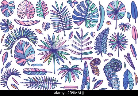 set de grosses feuilles exotiques vectorielles. beaux œuvres d'art de plantes dessinées Illustration de Vecteur