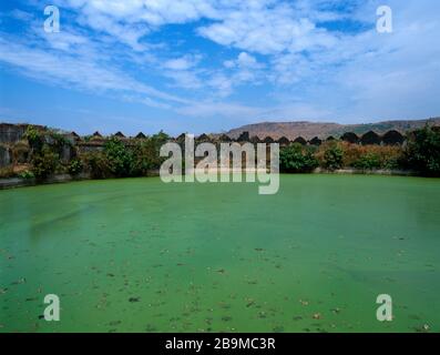 Alibag Inde Kolaba fort intérieur réservoir stagnant eau - vert Banque D'Images