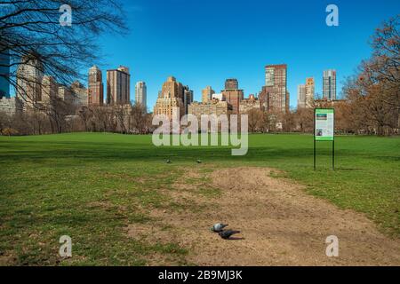 Parc central vide avec peu de piétons à la suite de l'éclosion de pandémie de coronavirus COVID-19 à New York. Banque D'Images