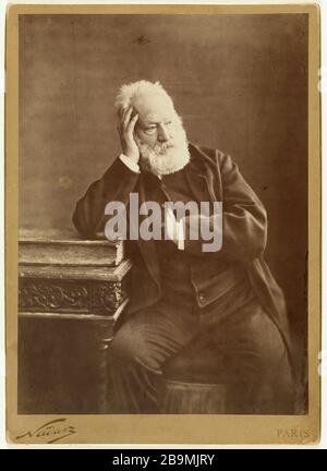 Victor Hugo Nadar (Gaspard-Félix Tournachon, dit). Victor Hugo. Papier aluminé. Paris, Maison de Victor Hugo. Banque D'Images