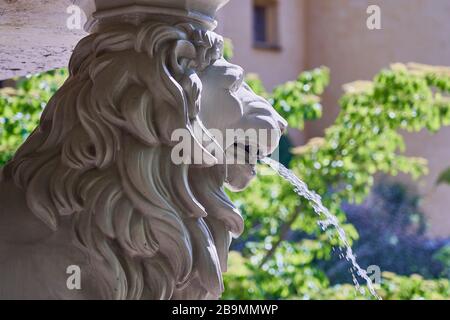 Une fontaine en pierre de wite, en forme de lion, qui jaille de l'eau de la bouche du lion. Banque D'Images