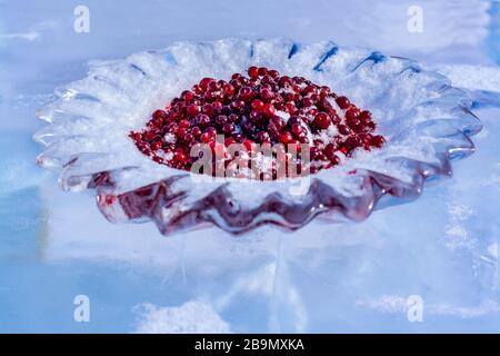 Une plaque de glace avec des canneberges saupoudrées de neige. Baies rouges sur des plats à glace. Personnalisé de la Sibérie russe pour des réunions sur le lac Baikal. Horizontale Banque D'Images