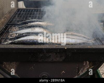 Sardines typiquement portugaises grillées cuites dans des coals chauds Banque D'Images