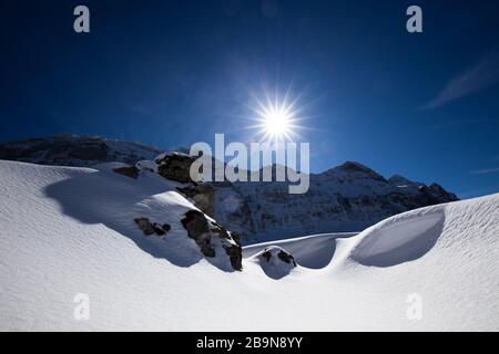 Superbe paysage d'hiver avec des sapins couverts de neige. Jour glacial, scène de vin exotique. Montagnes de la Carpathe magique, Ukraine, Europe. L'hiver nature wal Banque D'Images