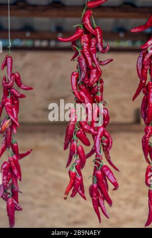 Piments rouges chauds suspendus à trois cordes. Banque D'Images