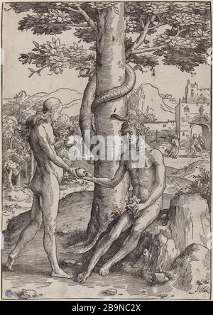La chute de l'homme (Bartsch 1) Lucas de Leyde. La chute de l'Homme (Bartsch 1). Gravure sur bois. 1513-1514. Musée des Beaux-Arts de la Ville de Paris, petit Palais. Banque D'Images