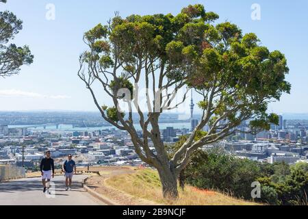 Route vers le sommet du mont Eden (Maungawlau), le mont Eden, Auckland, Nouvelle-Zélande Banque D'Images