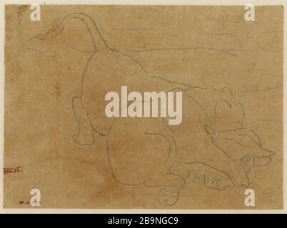 Ours mangeant un boeuf Antoine-Louis Barye (1796-1875). Notre dévorant un boeuf. Craie graphite sur papier calque. Musée des Beaux-Arts de la Ville de Paris, petit Palais. Banque D'Images