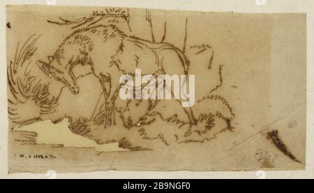 L'antilope allaite sa fraye Antoine-Louis Barye (1796-1875). Antilope allaitant son fon. Crayon graphite et plume sur papier calque. Musée des Beaux-Arts de la Ville de Paris, petit Palais. Banque D'Images