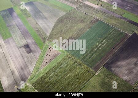 Vues aériennes de la vallée de Nida. Prés, marécages et zones humides visibles sur la photo. La rivière située en Pologne a beaucoup de méandres. Banque D'Images