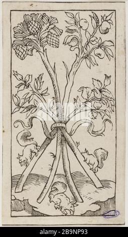 Jeu cartes florentine. Vingt dans une série de 35 pièces Francesco di Domenico dit, il Padovano (vers 1500-1571). 'Jeu de cartes florentin. Numéro vingt d'une série de 35 pièces. Gravure sur bois en noir et blanc. 1547. Musée des Beaux-Arts de la Ville de Paris, petit Palais. Banque D'Images