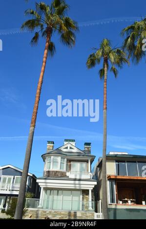 Connue pour son esprit bohème, Venise est une ville balnéaire animée avec des poches résidentielles haut de gamme. Los Angeles, Californie. Banque D'Images