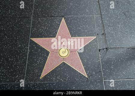 Le Hollywood Walk of Fame comprend plus de 2 600 terrazzo à cinq points et des étoiles en laiton incrustées dans les trottoirs du Hollywood Boulevard Banque D'Images