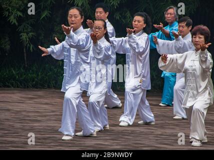 Chongqing, Chine - 9 mai 2010 : à l'intérieur du zoo ou du parc animalier. Groupe de personnes se produire ensemble Tai Chi synchronisé portant le silver ou les costumes bleus dans f Banque D'Images