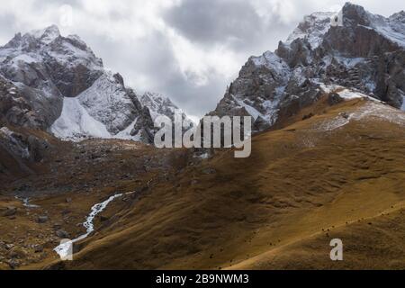 En regardant jusqu'au paysage d'hiver de Kol Suu avec des chênes de pâturage. Köl-Suu (Kirghizstan: Көлсуу) est un lac alpin dans le district d'at-Bashi de la province de Naryn Banque D'Images