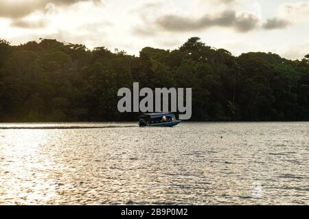 Petit bateau naviguant sur les canaux de Tortuguero, Costa Rica Banque D'Images