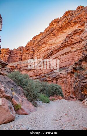 Réserve indienne de Havasupai - Arizona - États-Unis Banque D'Images