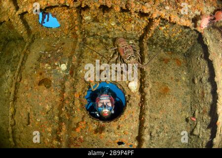 Images sous-marines de plongeurs et de la vie marine en plongée dans certains épaves du navire autour de Saint-Martin, dans les Caraïbes Banque D'Images