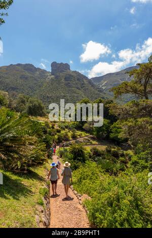 Les touristes peuvent pique-niquer dans le jardin botanique national de Kirstenbosch, dans la ville de CVape, en Afrique du Sud. Banque D'Images