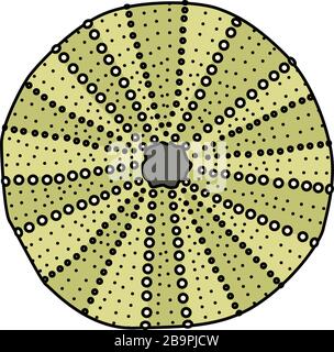 Vector mer Beach objet clip art. Seaurchin sec Illustration de Vecteur