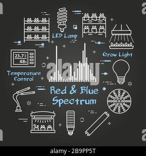 Vecteur noir concept de lumière hydroponique et de croissance conduit - spectre rouge et bleu Illustration de Vecteur