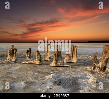 Paysage avec de vieux poteaux en bois dans un lac de sel sur fond de ciel rouge coucher de soleil, prendre dans la zone de la mer d'Azov, Ukraine Banque D'Images