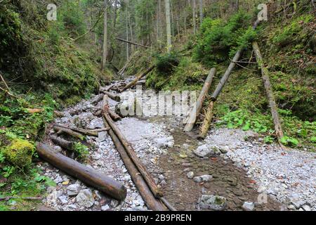 Paysage dans les gorges de montagne Slovensky Raj, Slovaquie Banque D'Images