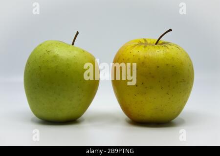 Belles pommes polonaises. Naturel sans aucun produit chimique Banque D'Images