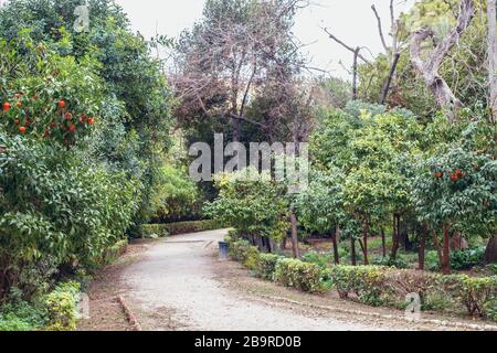 Athènes, Grèce - 14 février 2020:. Le jardin national est un parc public de la ville d'Athènes Banque D'Images