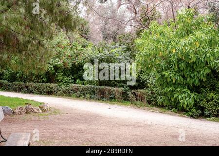 Athènes, Grèce - 14 février 2020:. Le jardin national est un parc public de la ville d'Athènes Banque D'Images