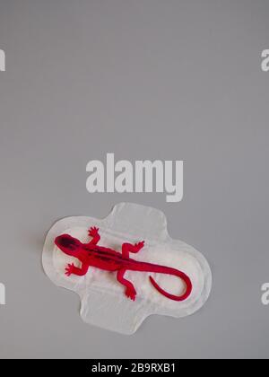 Tampon menstruel avec lézard rouge sur fond gris. Concept minimaliste de photographie de la vie. Jours critiques pour les femmes, cycle menstruel gynécologique. Banque D'Images