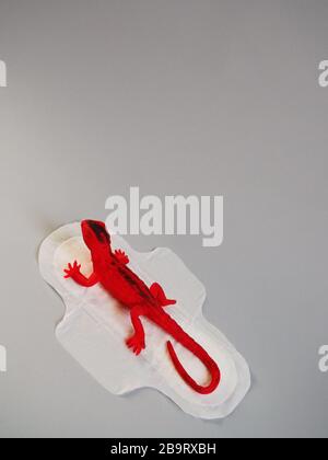 Tampon menstruel avec lézard rouge sur fond gris. Concept minimaliste de photographie de la vie. Jours critiques pour les femmes, cycle menstruel gynécologique. Banque D'Images