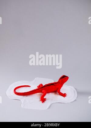 Tampon menstruel avec lézard rouge sur fond gris. Concept minimaliste de photographie de la vie. Jours critiques pour les femmes, cycle menstruel gynécologique. Banque D'Images