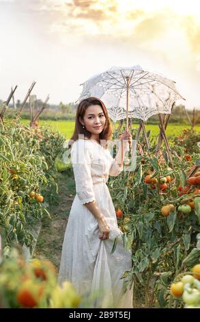 Jolie femme asiatique avec parasol blanc dans le jardin de tomates Banque D'Images