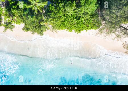 Seychelles plage Mahé Mahé île vacances drone vue aérienne photo d'en haut de la photographie Banque D'Images