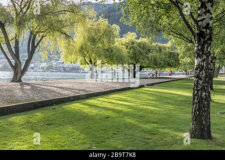 QUEENSTOWN, NOUVELLE-ZÉLANDE - 19 novembre 2019: Paysage urbain avec arbres au bord de la mer de la ville touristique, tourné dans la lumière de printemps vive le 19 novembre 2019 à Q Banque D'Images