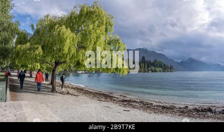 QUEENSTOWN, NOUVELLE-ZÉLANDE - 19 novembre 2019: Paysage urbain avec plage de sable et arbres au bord de l'eau de la ville touristique, tourné dans une lumière de printemps vive sur novem Banque D'Images