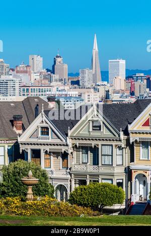 Alamo Square avec la célèbre Painted Ladies victoriennes, San Francisco, California, USA Banque D'Images