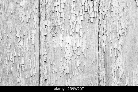 Vieux mur de bois gris blanc avec peinture peeling, texture de photo d'arrière-plan Banque D'Images