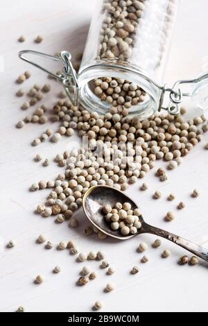 Poivrons blancs dans le bol et cuillère sur fond blanc Banque D'Images