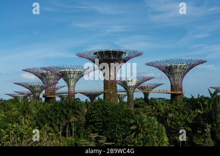 SINGAPOUR, SINGAPOUR - 27 février 2020 : Singapour, Singapour - 27 février 2020 : Supertree Grove aux jardins près de la baie Banque D'Images