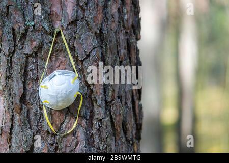 Un masque blanc se bloque sur une branche d'arbre dans une forêt - closeup. En raison d'un masque insuffisant pendant la crise de Covid-19. Quarantaine du virus Corona. Banque D'Images