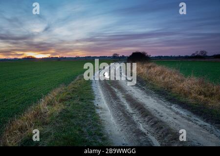 Route de terre à travers les champs verts et nuages sur le ciel après le coucher du soleil Banque D'Images