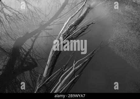 Réflexions à l'intérieur de l'eau Banque D'Images