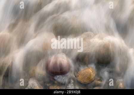 Gros plan de cailloux couverts de fruits de mer Banque D'Images