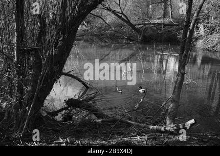 Réflexions à l'intérieur de l'eau Banque D'Images
